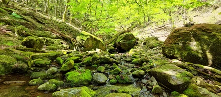 2024年4月、大岳山登山