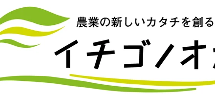 サラダボウルグループに新しい仲間が加わります！