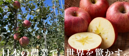 【お知らせ】日本農業、約42億円の資金調達を実施。累計調達額は66億円に　日本の農産業の構造転換に向け、さらに加速