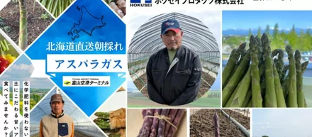北海道産 朝どれアスパラガスを富山空港にて販売いたしました！