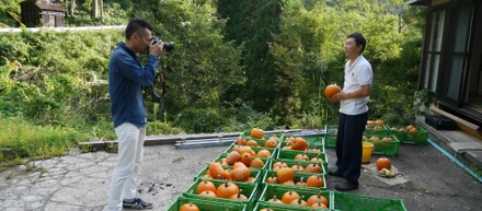 ハロウィンかぼちゃ　無印良品
