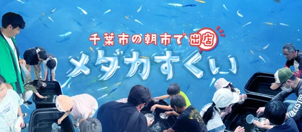 【地方創生】千葉市の朝市でメダカすくいを出店しました！