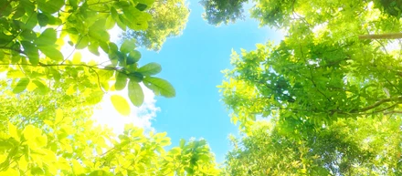 環境に優しい職場で働きたい人、この指とまれ！ 日本では希少なCO2排出量ゼロ工場の仕組みとは