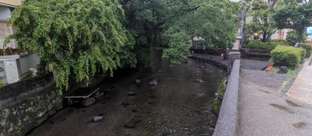 社員合宿で三島市に行ってみた！
