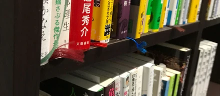 読書と中学受験国語ととりとめのない話。