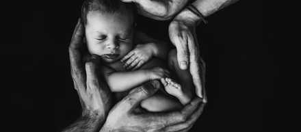 From amorétto to LIFE studio