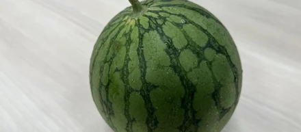 DXの会社が農園運営！あんぶるふぁーむ 岩槻農園で入社式を行いました🍉