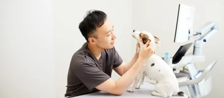 常在菌から診る新しい動物病院【KINSWITH動物病院】二子玉川院本院 　院長 岡田獣医師のインタビュー　獣医師はなぜKINSを選んだのか？