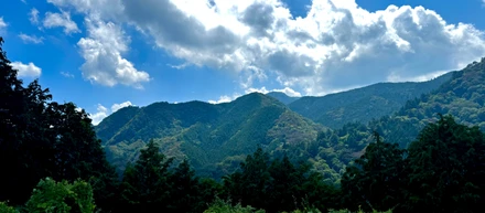 【登山部】東京からのプチ脱出：御岳山で味わう大自然の癒し