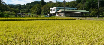 田舎と都会のいいとこ取りできるジーネックスの所在地について