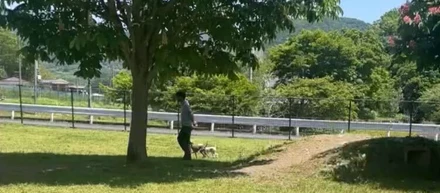 【データサイエンスト/岡村光埋】社員インタビュー～活動的なベンチャー戦士～