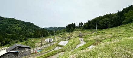 エンジニア集団がコメ作り！？山間の秘境で過ごす時間がチームの絆を強くする