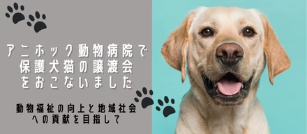 【イベントレポート】弊社が運営するグループ動物病院のアニホック動物病院で保護犬猫の譲渡会をおこないました