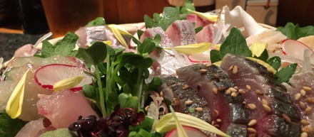 北陸のうまい魚を喰らえ！