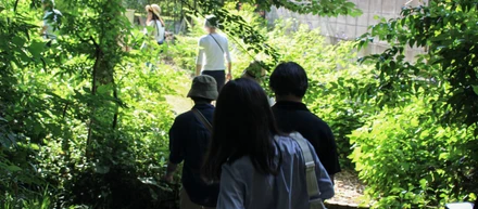 東京郊外を森のような住まいにしたい
