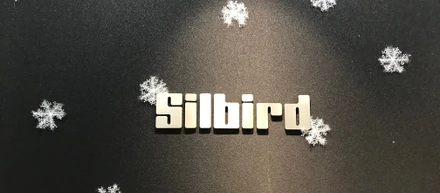 Silbirdでのインターンを終えて