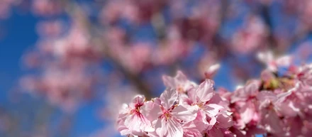 理系が嫌いだった私が研究開発に進もうと思ったワケ