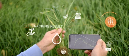 社員インタビュー_スマート農業に関する自社事業立ち上げ