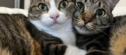 自分を表す3つの言葉