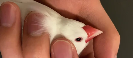 自分を表す3つの言葉