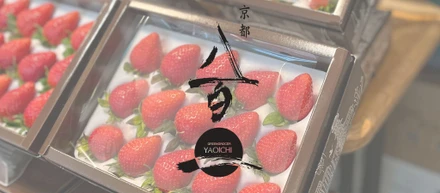 【事業紹介 vol.3】ECOいちご！🍓