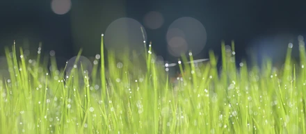 年明けからの体調管理～正月疲れかも⁈～