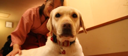 愛犬と一緒に出勤！愛犬同伴出勤WAN LOVE制度！