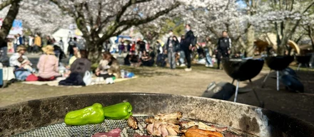 お花見＆BBQ 〜2024〜