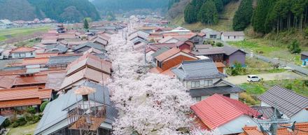 日本で最も美しい村の四季