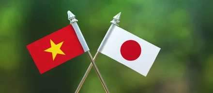 ベトナムが親日国家である理由を歴史・文化・経済的な背景から解説