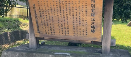 生い立ち
