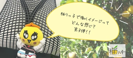 柚りっ子で働くイメージってどんな感じ？～商品開発編～