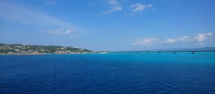 フェリーで離島に出張しましたが、とても気持ちのよい出張になりました！