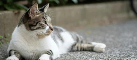 毎日の成長が身近になる！～「成長」の定義～