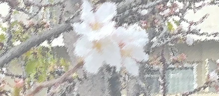 今年の春は室内スペースで！お花見レポート
