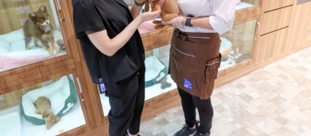 【Q&A形式】クーアンドリク（coo&riku）で働く社員へのインタビュー！