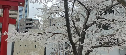 これはもう春ですか？？🌸🐈💦