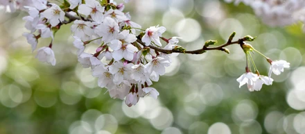 2025年度 入社式🌸