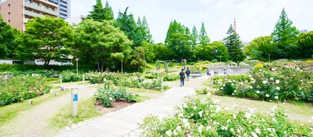 デザイン会社密集エリア・大阪京町堀のいいところ勝手にベスト３
