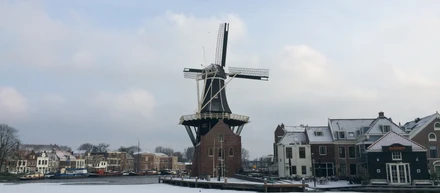 オランダでエンジニアとして働く ~経緯編~
