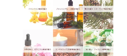 アカウントを伸ばす研究