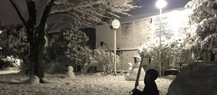 ある、雪の日の出来事。。。
