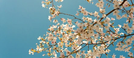 【記事のご紹介】2025年4月