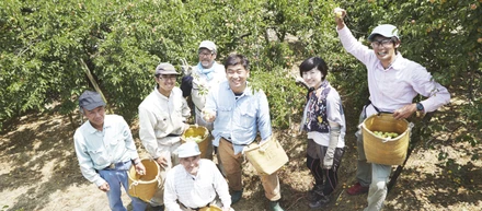 堀内果実園の農園って？どんな所？何してる？