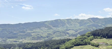 鳥のさえずりが心地良い春の日