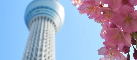 【しがない建築学生のインターン備忘録①】