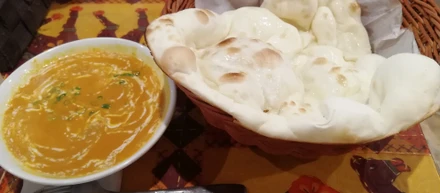 カレーを制する者は1年目を制する