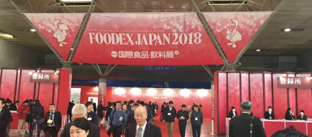FOODEXと宮沢りえさんと私のこと