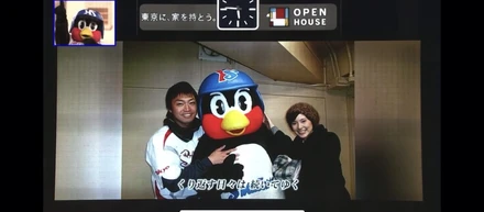 なぜ私がVisionBaseを選んだのか