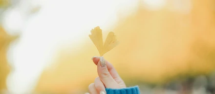 「ありがとう」と「ごめんなさい」が素直に言えない職場は何をやってもうまくいかない。